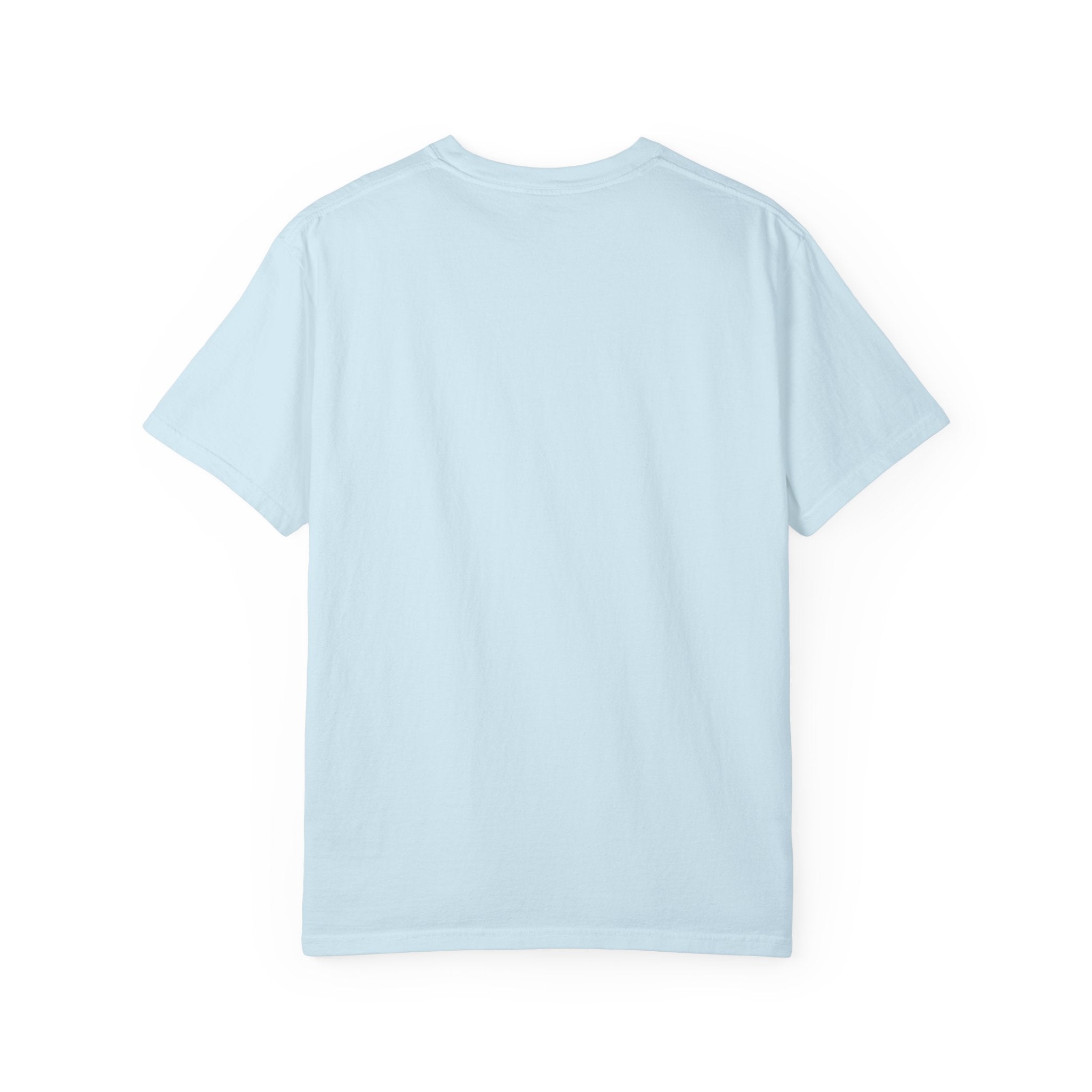 Truth Compass T-Shirt — “Truth Does Not Need Your Agreement to Be True” Graphic Tee