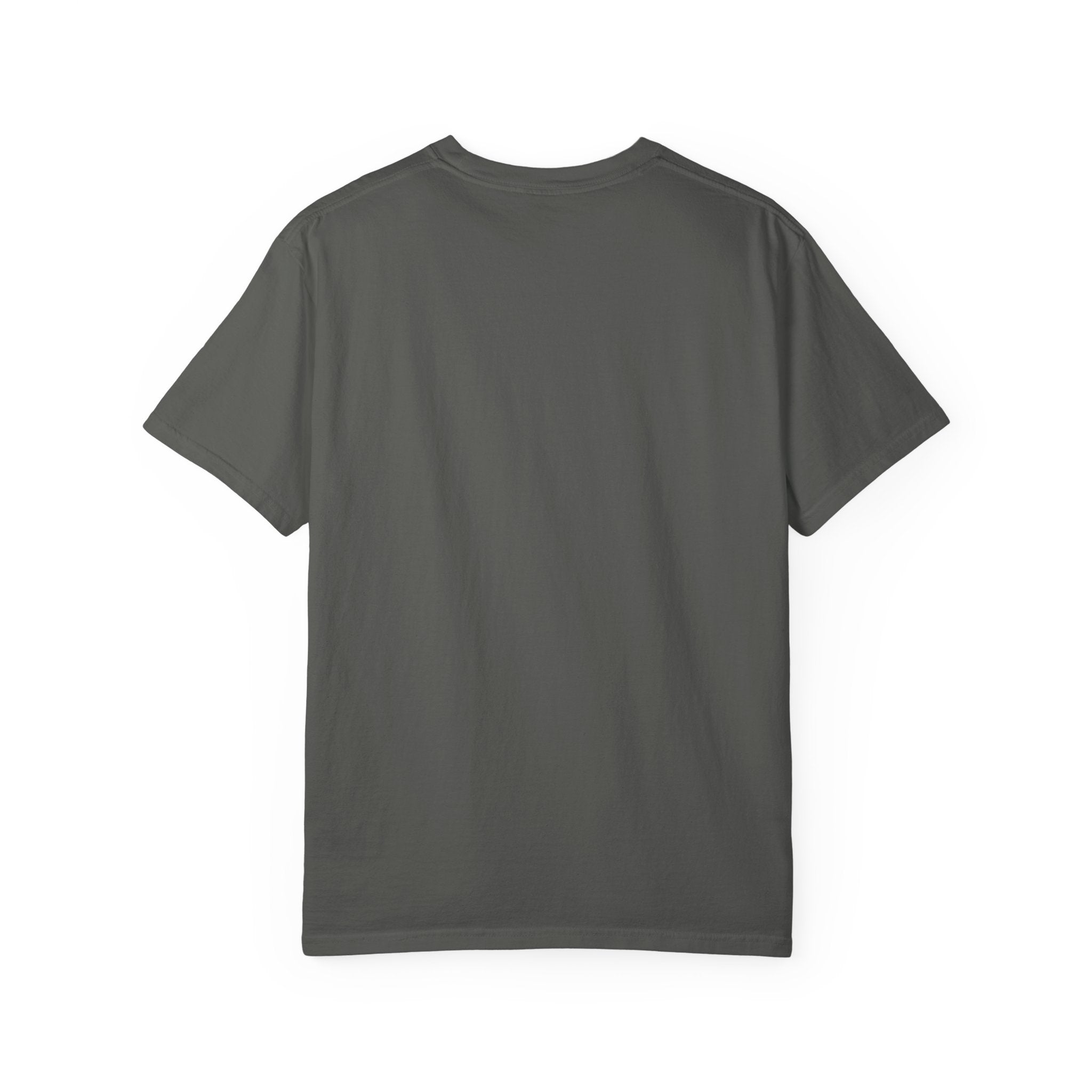 Truth Compass T-Shirt — “Truth Does Not Need Your Agreement to Be True” Graphic Tee