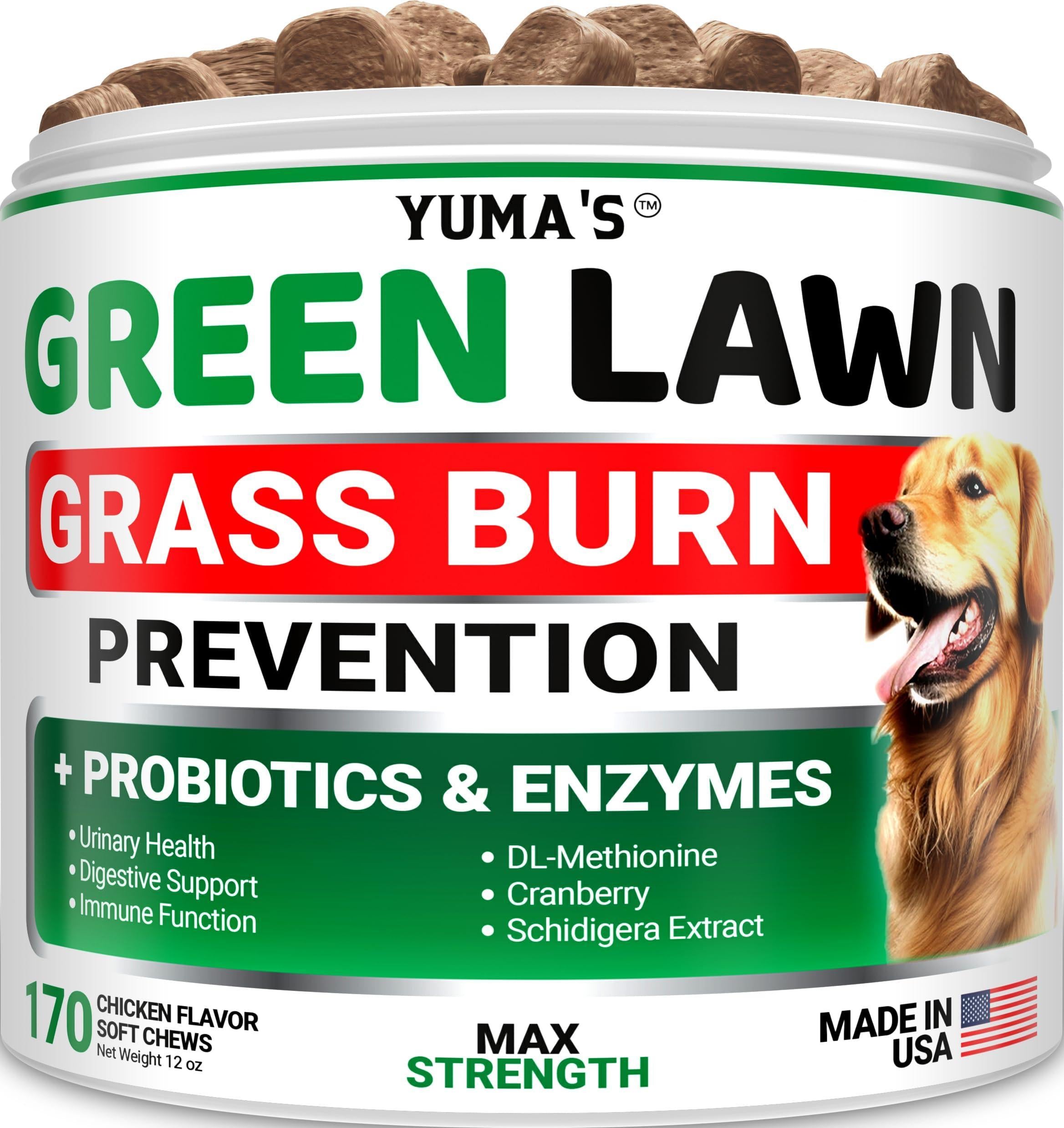 Green Lawn Chews for Dogs  Probiotics and Digestive Enzymes Supplement Gut